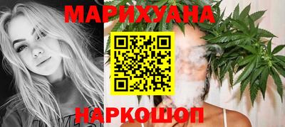 крисы Шахты