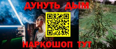 крисы Шахты